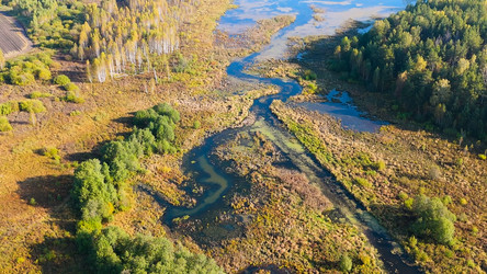 Similar image 22207858