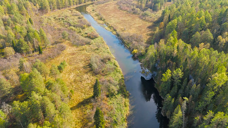 Similar image 22207861