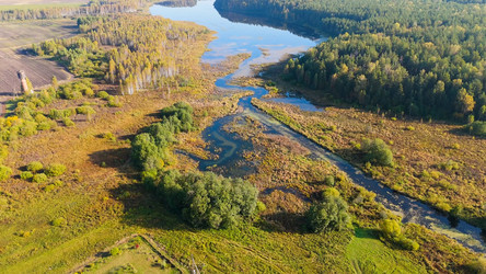 Similar image 22207864