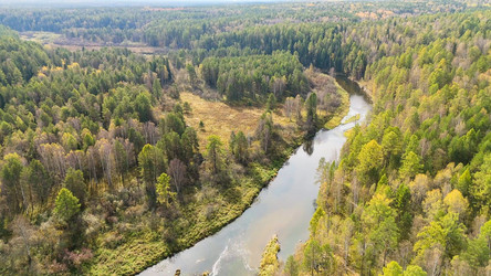 Similar image 22207867