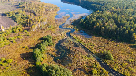 Similar image 22207872