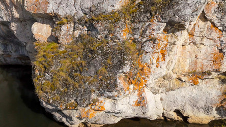 Similar image 22207233