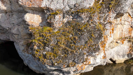 Similar image 22207235