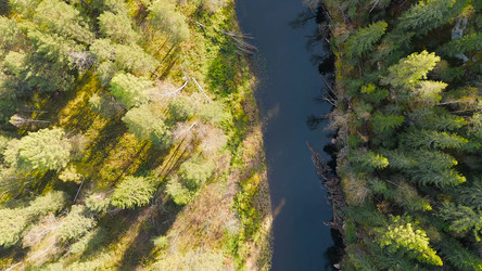 Similar image 22207237