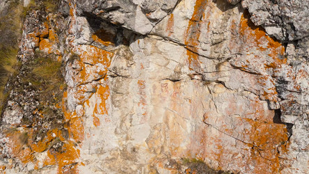 Similar image 22207242