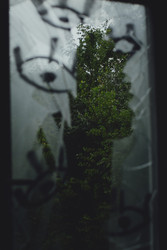 Similar image 22206362