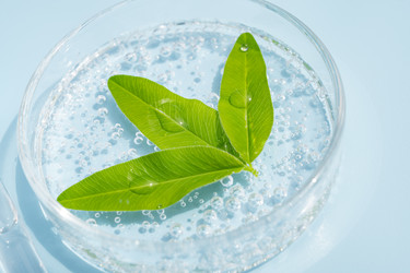 Similar image 22208663