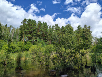 Similar image 22206363