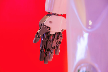 Similar image 22206384