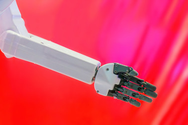 Similar image 22206386