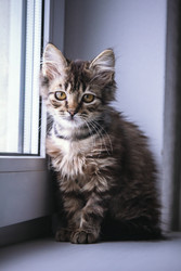 Similar image 22208685