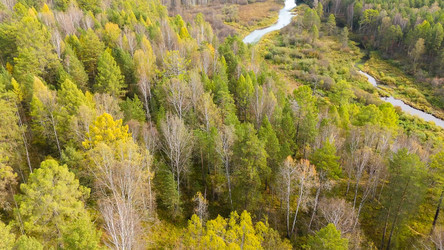 Similar image 22207629