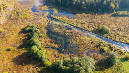 Similar image 22207631