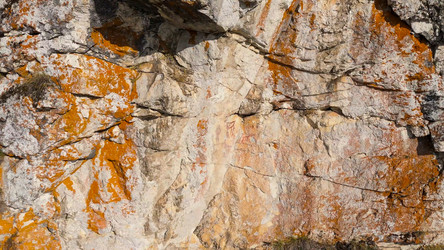 Similar image 22207637