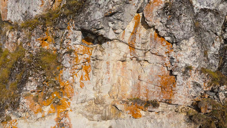 Similar image 22207647