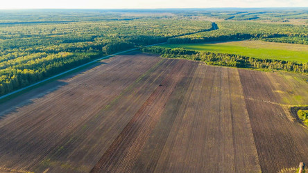 Similar image 22207655