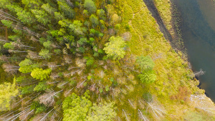 Similar image 22207656