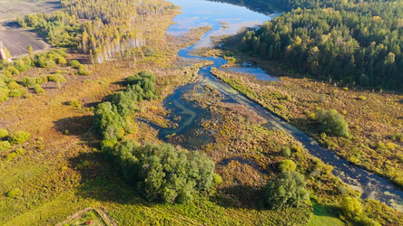 Similar image 22207660