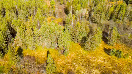 Similar image 22207661