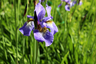 Similar image 22208687