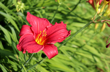 Similar image 22208688