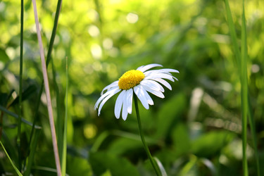 Similar image 22208689