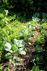 Similar image 22208690