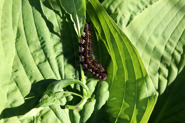 Similar image 22208691