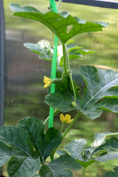 Similar image 22208692