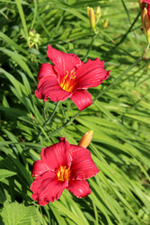 Similar image 22208693