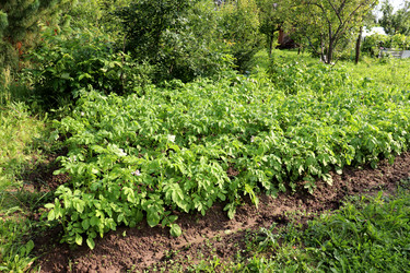 Similar image 22208694