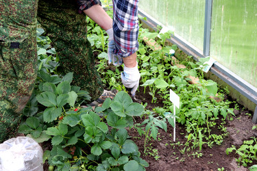 Similar image 22208695