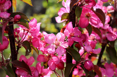 Similar image 22208696