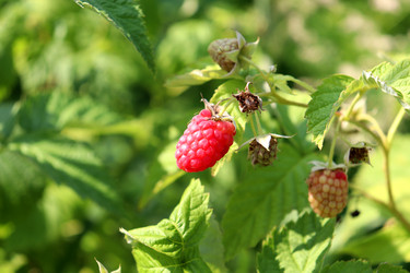 Similar image 22208697