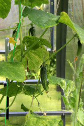 Similar image 22208698