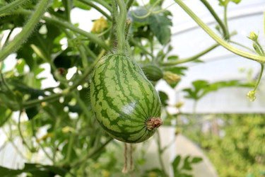 Similar image 22208699