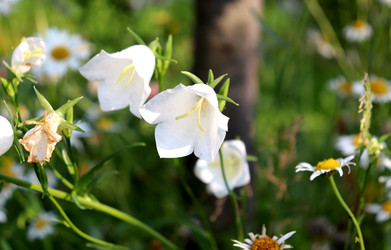 Similar image 22208700