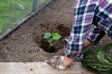 Similar image 22208701