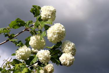 Similar image 22208702