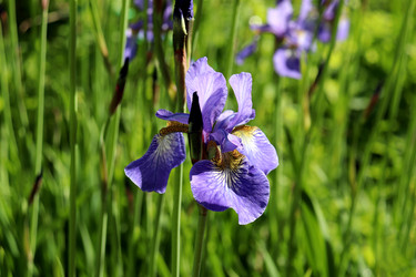 Similar image 22208703