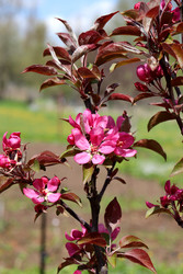 Similar image 22208704