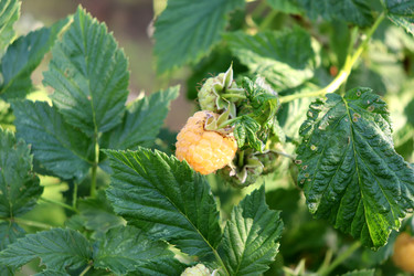 Similar image 22208706