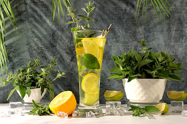 Similar image 22208812