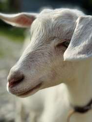 Similar image 22206387