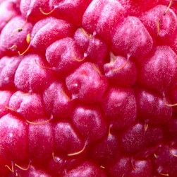 Similar image 22206543