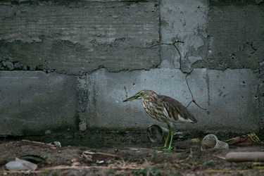 Similar image 22206544