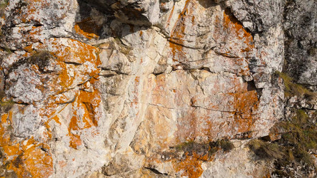 Similar image 22207883