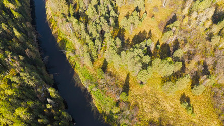 Similar image 22207249