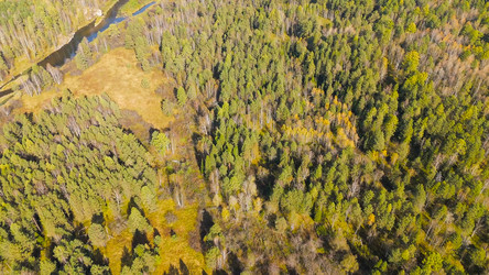 Similar image 22207254