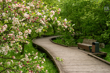 Similar image 22207255